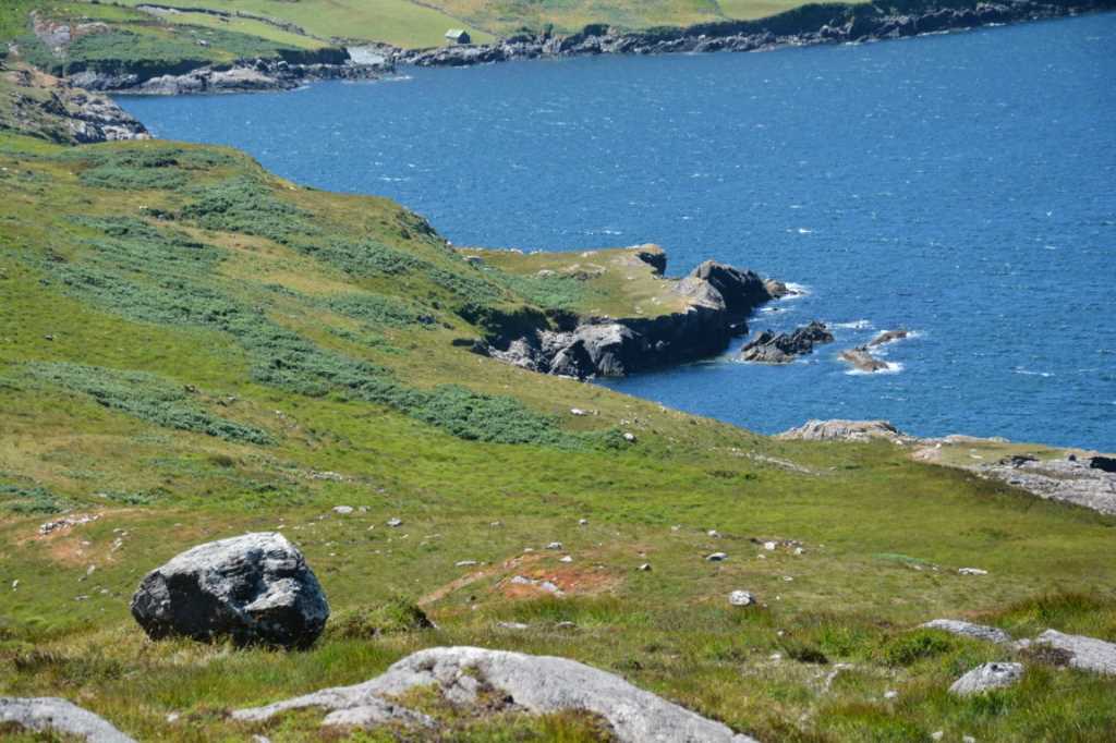 DSC_5061Mittel_.JPG